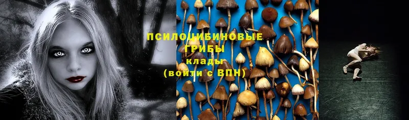 Псилоцибиновые грибы Magic Shrooms  купить наркотики сайты  Рыбное 